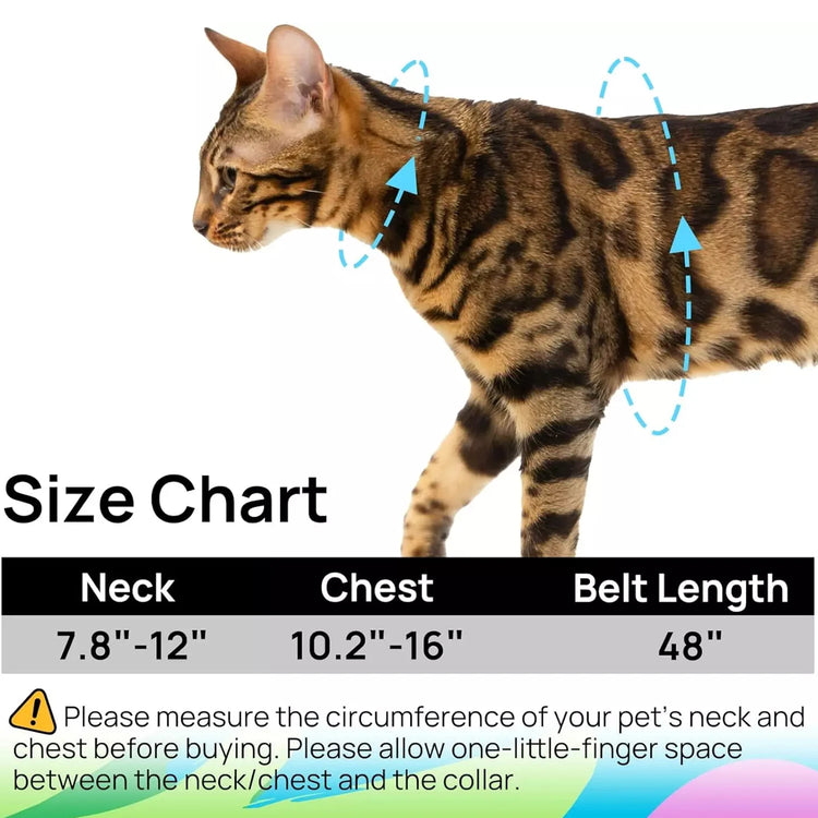 Cat Carrier – Lightweight & Escape-Proof | Adjustable Soft Harness & Leash Set for Walking & Travel | Secure & Breathable Kitten Harness