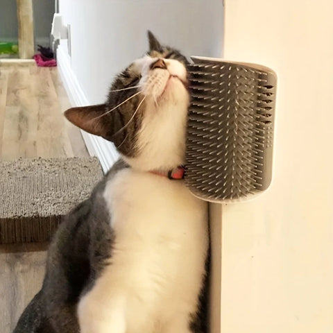 Cat Self Groomer with Massage Comb Brush | Wall-Mounted Kitten/Puppy Grooming Tool
