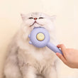 Pet Comb | One-Key Hair Removal Brush | Magic Massage Grooming Tool | Cat Hair Brush | Easy Clean