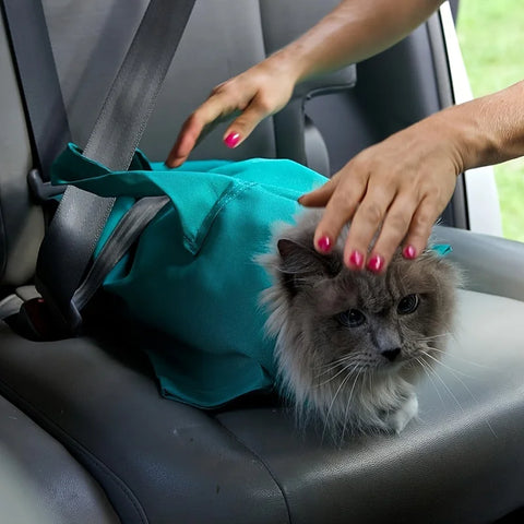 Original AS SEEN ON TV | Comfy Soothing Cat Carrier