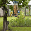 Bird Seed Feeder | Hanging Bird Feeder | Wild Bird Seed Feeder | Garden Paddock Bird Feeding Tool | Pet Supplies For Small Birds