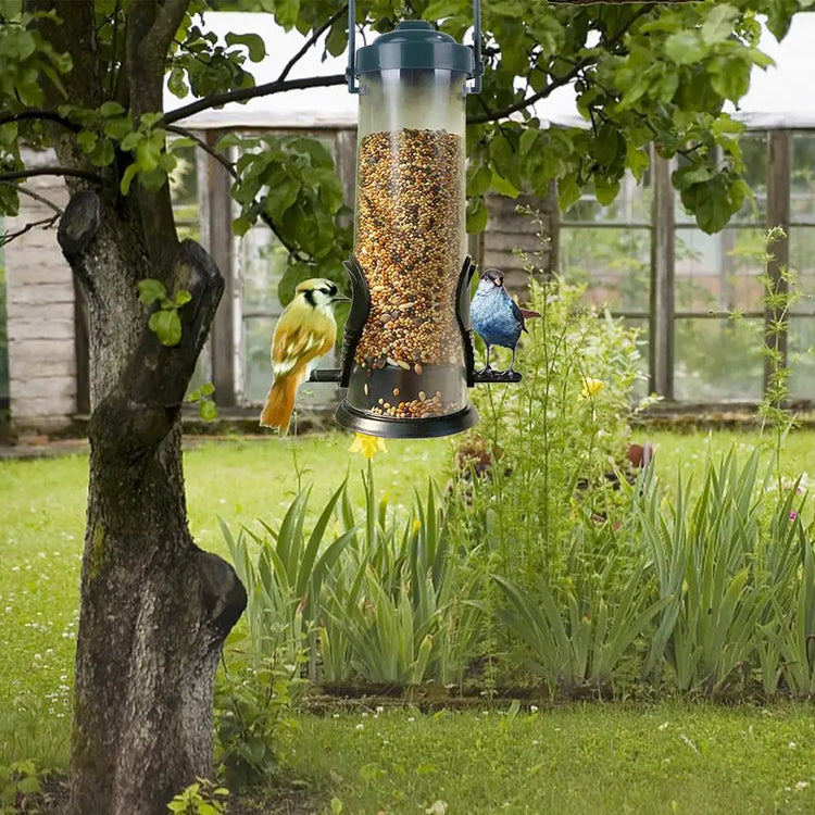 Bird Seed Feeder | Hanging Bird Feeder | Wild Bird Seed Feeder | Garden Paddock Bird Feeding Tool | Pet Supplies For Small Birds