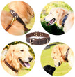 Leather Dog Collar with Quick Release – Durable Pet Collar for Small to Large Dogs