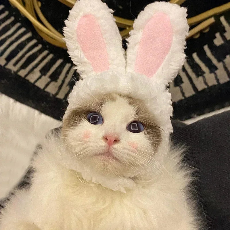 Cute Lion Mane Wig Hat for Cats/Small Dogs | Funny Pet Costume For Halloween, Christmas & Parties