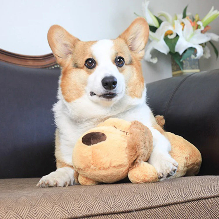 Heartbeat Plush Puppy Toy – Soothing Comfort Doll for Behavioral Training & Stress Relief