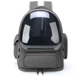 Transparent Pet Carrier Bag | Travel Backpack for Cats/Small Dogs | Breathable Outdoor Tote