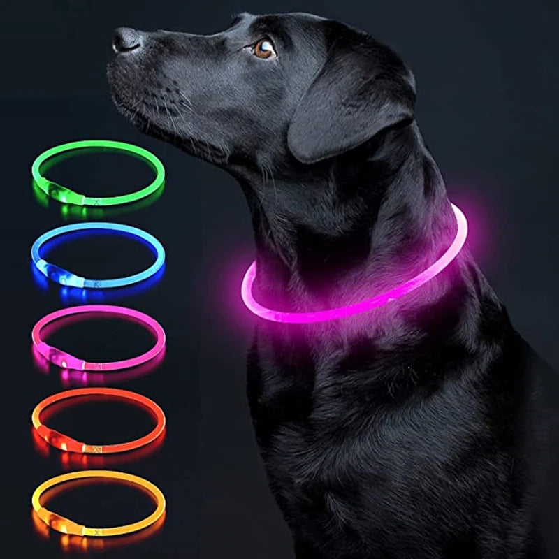 LED Luminous Dog Collar USB Charging Flashing Glowing Safety Anti-Lost Collar for Cats and Dogs          Ask ChatGPT
