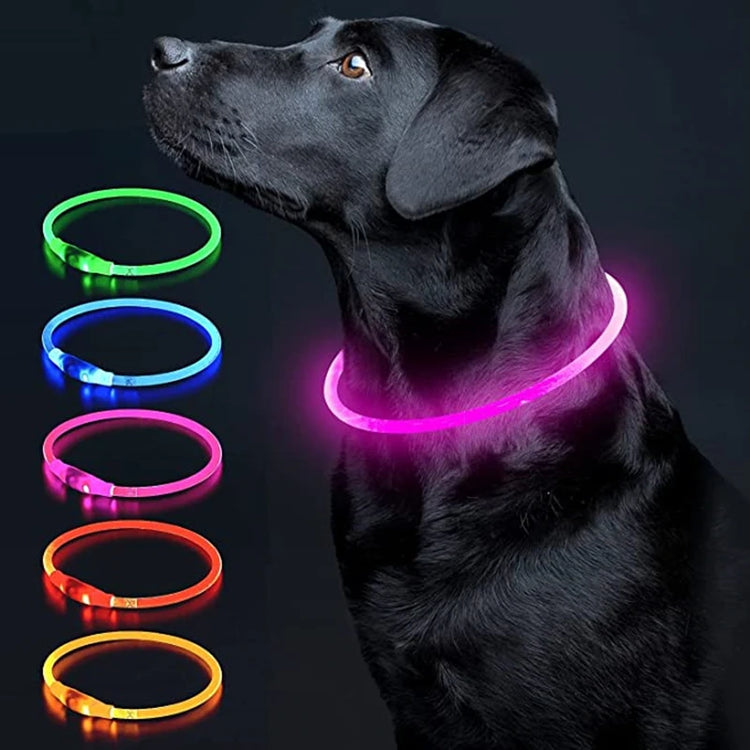 LED Luminous Dog Collar USB Charging Flashing Glowing Safety Anti-Lost Collar for Cats and Dogs          Ask ChatGPT