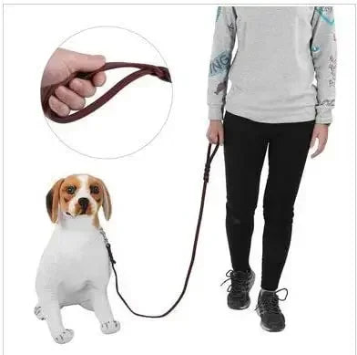 Braided Leather Dog Collar and Leash Set – Durable Genuine Cowhide for Medium & Large Dogs