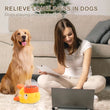Cat Toy | Cat Automatic Feeder | Cat Interactive Toy | Pet Automatic Food Treat Dispenser | Pet Snack Feeder | Dog Training Pet