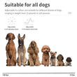 Automatic Anti-Bark Dog Training Collar – USB Rechargeable with Sound & Shock Modes