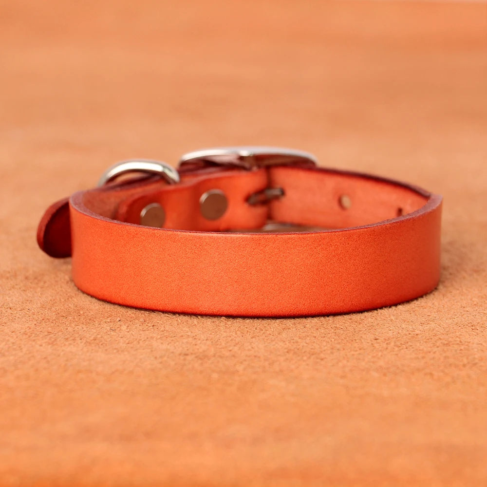 Genuine leather dog collar and leash set – durable and comfortable for small to medium dogs