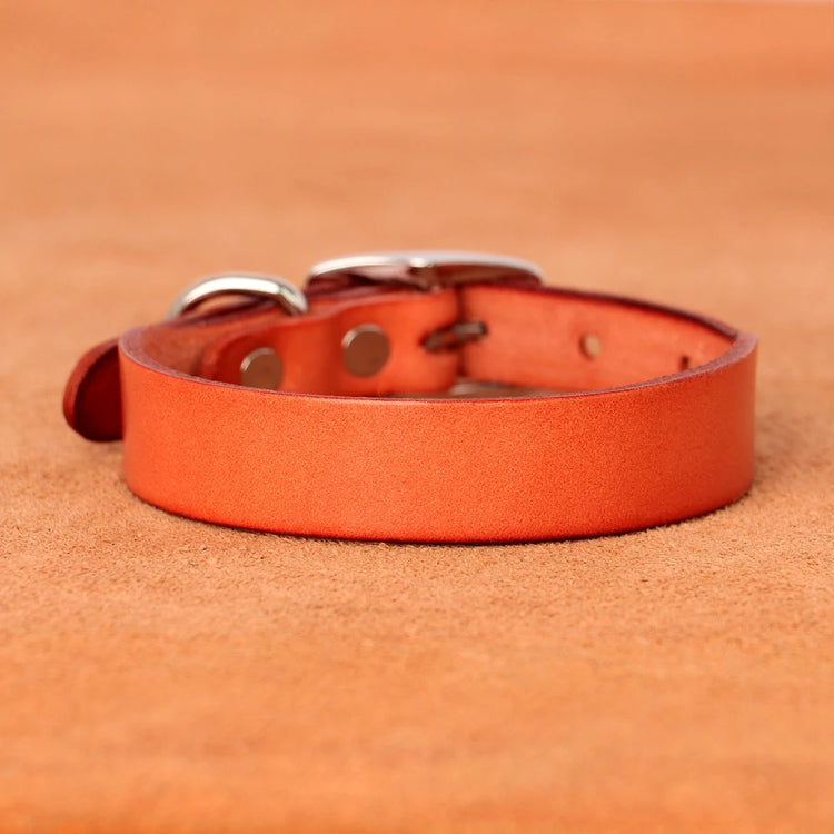 Genuine leather dog collar and leash set – durable and comfortable for small to medium dogs