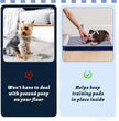 Reusable Dog Potty Training Tray – Non-Slip Puppy Pad Holder for Indoor & Outdoor Use