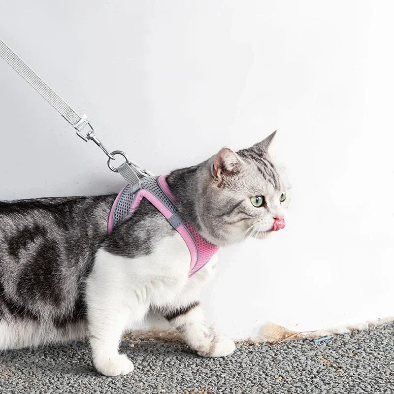 Cat Harness Leash Set | Adjustable Dog & Cat Collar | French Bulldog Harness Vest | Puppy & Chihuahua | Outdoor Walking Lead Leash