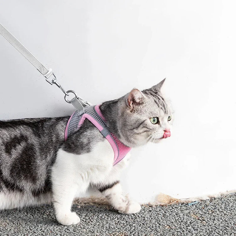 Cat Harness Leash Set | Adjustable Dog & Cat Collar | French Bulldog Harness Vest | Puppy & Chihuahua | Outdoor Walking Lead Leash
