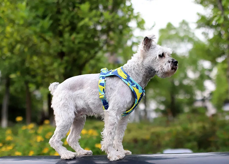 New Dog Cat Harness | Adjustable Vest Walking Lead Leash | Puppy Dogs Collar | Polyester Mesh Harness | Small Medium Dog Cat Pet