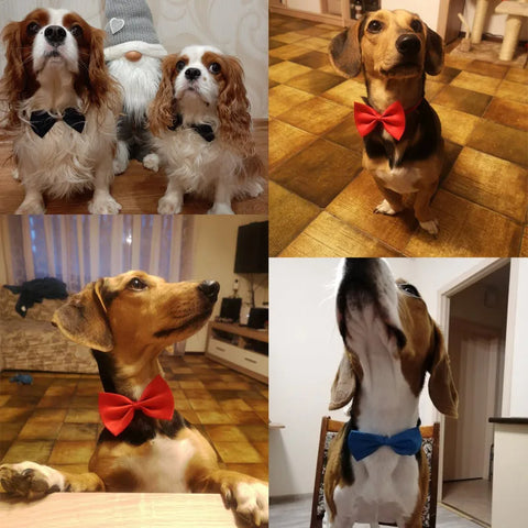 Pet Dog/Cat Necklace Formal Necktie |Adjustable Bow Tie Portable Collar, Suit For Small Medium Dog/Cat