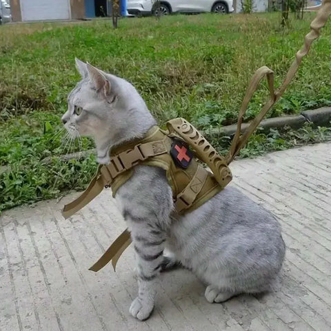 Outdoor Cat Vest | Waterproof Cat Clothes | Adjustable Cat Chest Strap | Special Walking Vest for Cats | Secure Outdoor Pet Harness