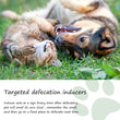 Pet Toilet Training Spray  30ml | Dog /Cat Potty Trainer | Natural Extract Formula