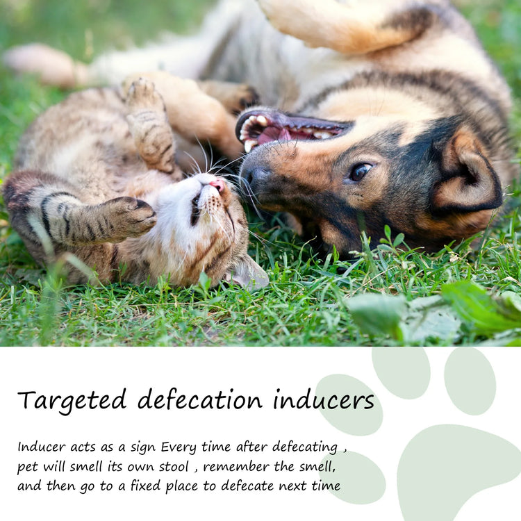 Pet Toilet Training Spray  30ml | Dog /Cat Potty Trainer | Natural Extract Formula