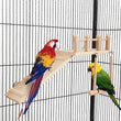 Bird Perches Platform Swing Climbing Ladder Toy | Parrot Cage Accessories | Wooden Playing Gyms for Birds | Exercise Stands Set