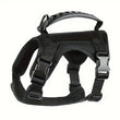 Outdoor Cat Vest | Waterproof Cat Clothes | Adjustable Cat Chest Strap | Special Walking Vest for Cats | Secure Outdoor Pet Harness