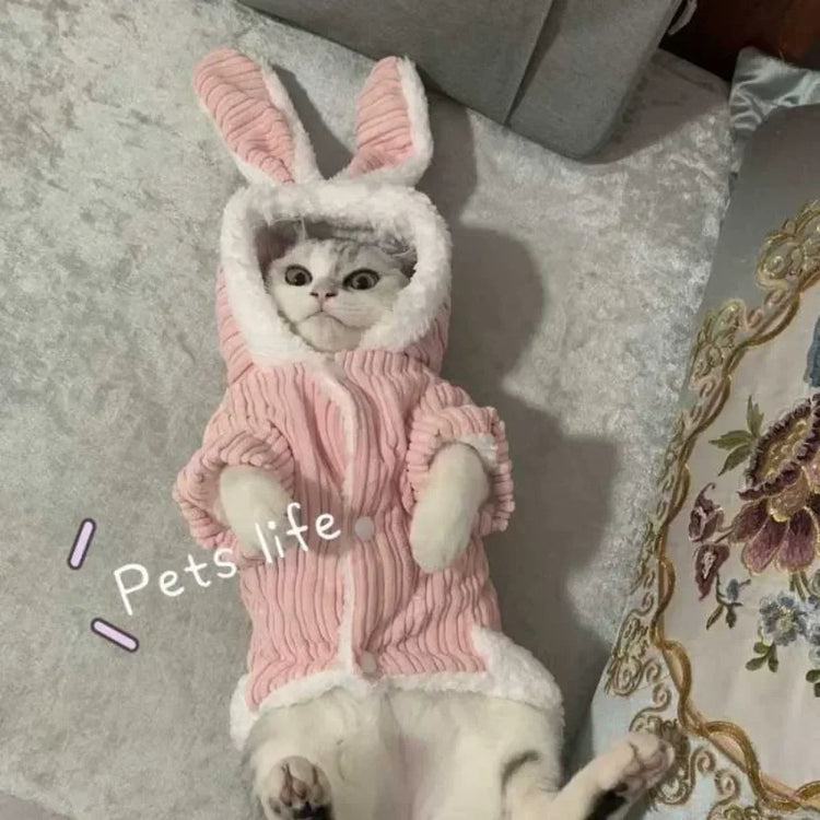 Lovable Winter Clothes for Cats/Small Dogs | Two-Legged Corduroy Cartoon Outfit | Warm Cotton Coat for Hairless Cats/Puppies
