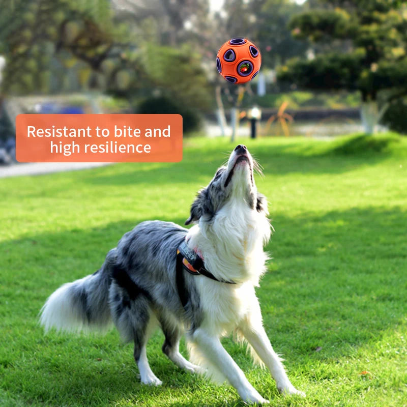 HOOPET Interactive Dog Ball Toys – Light-Up & Bell Rubber Balls for Active Play