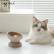 Cat Ceramic Bowl | Gradient Pet Food & Water Feeders | Small Dogs Drinking & Eating Supplies | Raised Tilted Cats & Puppy Feeding Supplies