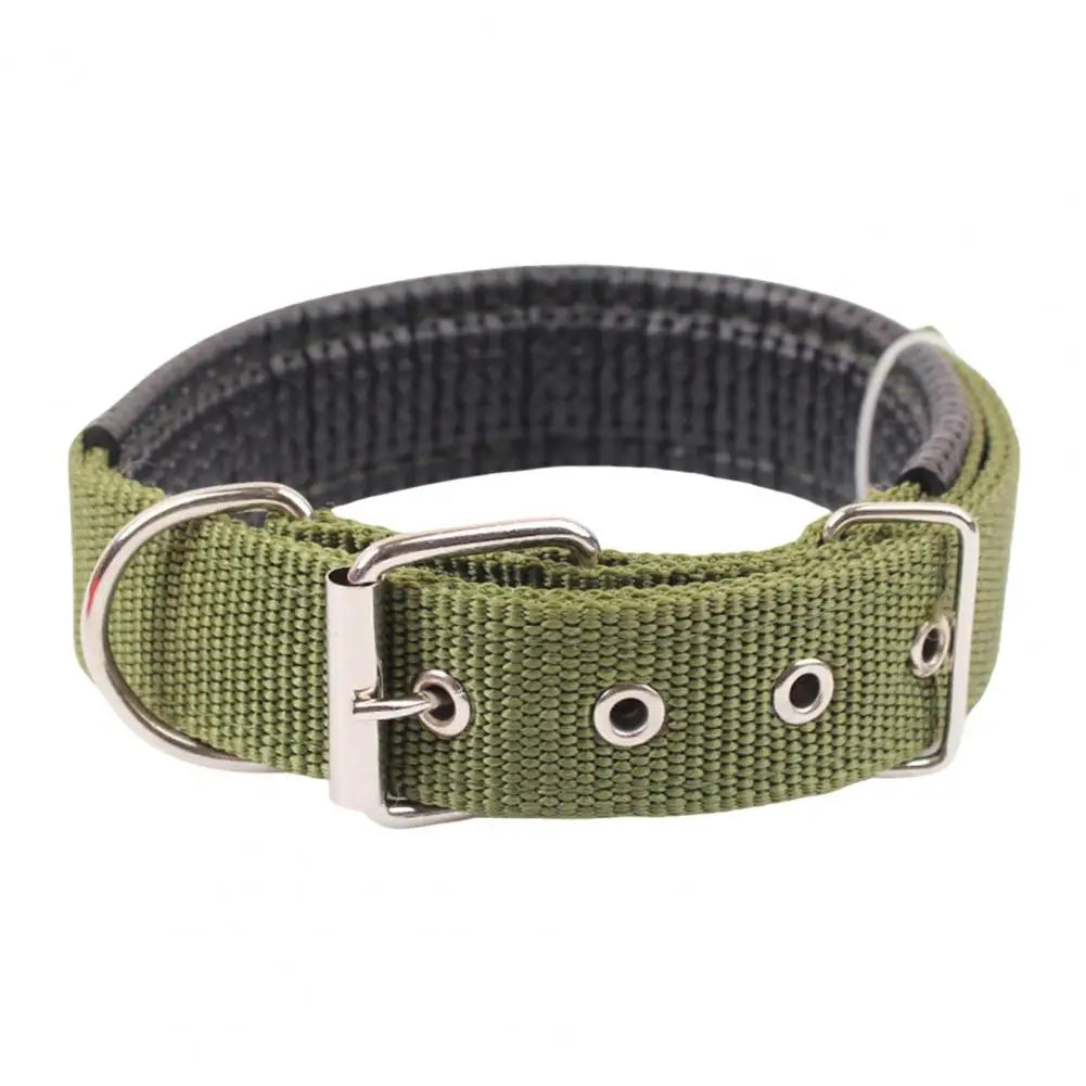 Adjustable Nylon Pet Collar with Traction Ring – Durable and Comfortable Dog Neck Strap
