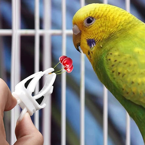 1/6/12pcs Bird Food Holder | Parrot Feeding Clip | Fruit Vegetable Clamp | Cuttlefish Bone Feeder | Cage Mount Tool for Pet Birds