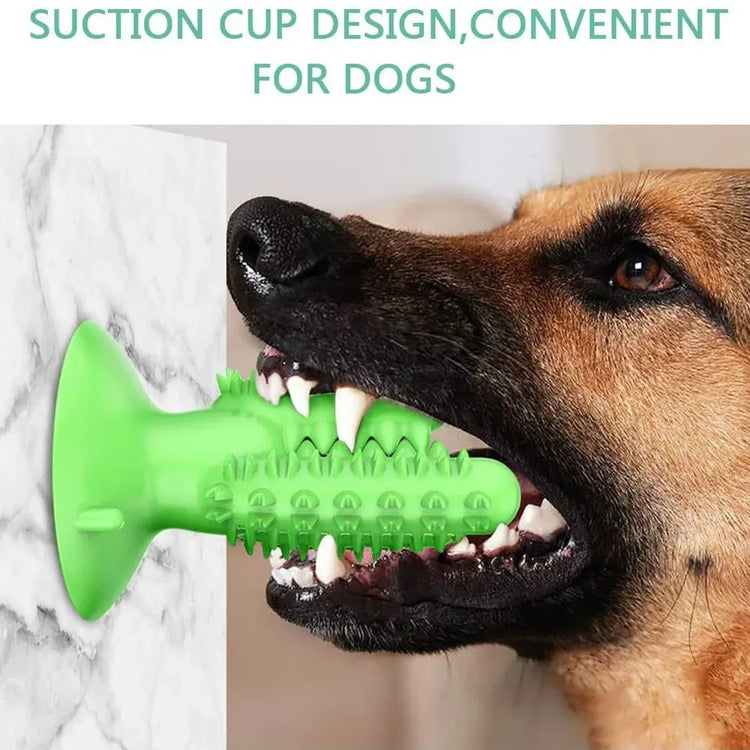 Interactive Dog Toothbrush Toy – Durable Chew Toy for Teeth Cleaning and Training