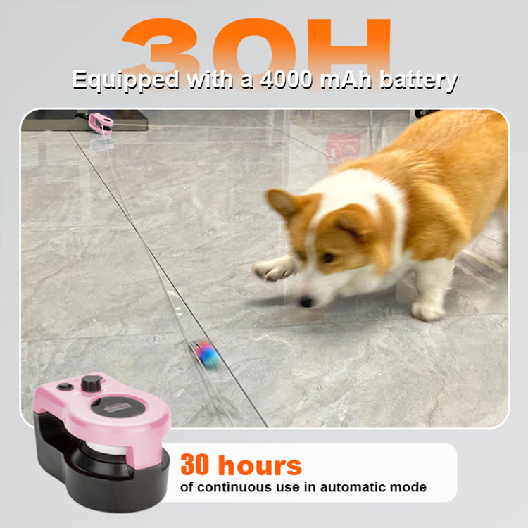 Cat Running Wheel Interactive Toy – Adjustable Speed Treadmill for Indoor Cats