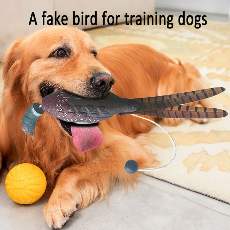 Dog Training Duck Dummy | Waterfowl Retrieval Training Toy for Dogs
