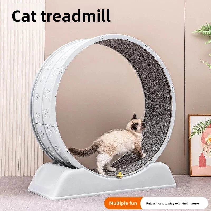 Pet Treadmill – Cat Exercise Wheel for Indoor Parkour | Easy-to-Assemble Cat Roller Toy | Durable Solid Color Cat Treadmill
