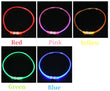 LED Luminous Dog Collar USB Charging Flashing Glowing Safety Anti-Lost Collar for Cats and Dogs          Ask ChatGPT