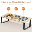 Elevated Cat Bowls with 3 Stainless Steel Bowls | 15° Tilted Raised Cat Food Bowls | For Small Cats & Puppies | Pet Bowls with Stand