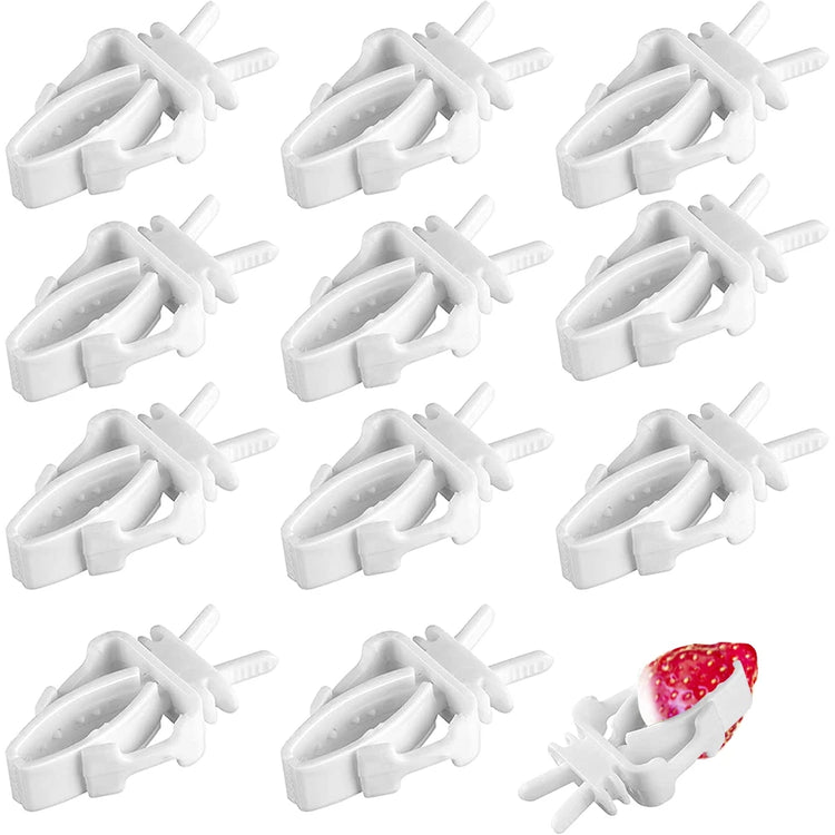 1/6/12pcs Bird Food Holder | Parrot Feeding Clip | Fruit Vegetable Clamp | Cuttlefish Bone Feeder | Cage Mount Tool for Pet Birds