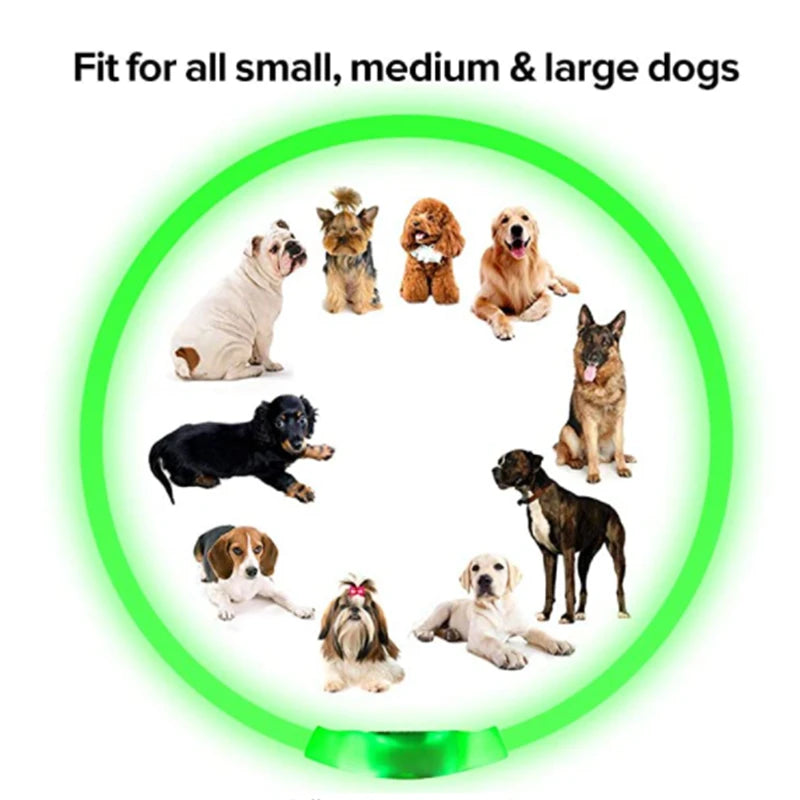 LED Luminous Dog Collar USB Charging Flashing Glowing Safety Anti-Lost Collar for Cats and Dogs          Ask ChatGPT