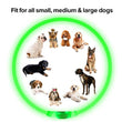 LED Luminous Dog Collar USB Charging Flashing Glowing Safety Anti-Lost Collar for Cats and Dogs          Ask ChatGPT