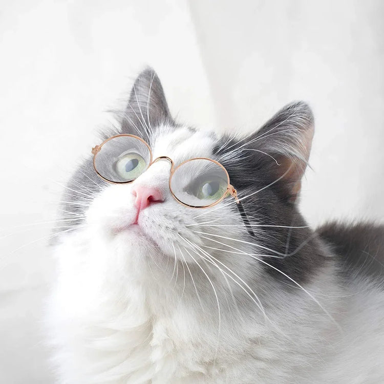 Cat Dog Sunglasses | Funny Pet Glasses - Round Metal Cat Classic Retro Sunglasses with Anti-Slip Belt | Pet Party Costume Photo Props