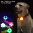 LED Glowing Dog Collar – USB Rechargeable Safety Light Collar