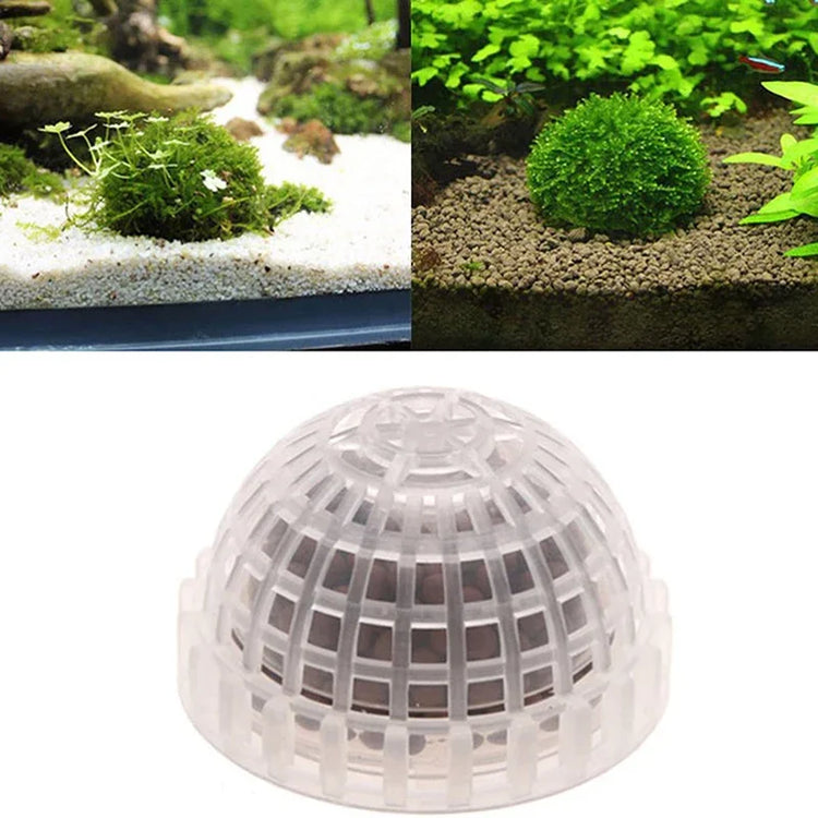 Aquarium Moss Ball Holder – Transparent Plastic Aquatic Plant Container & Filter Decoration for Fish Shrimp Tanks