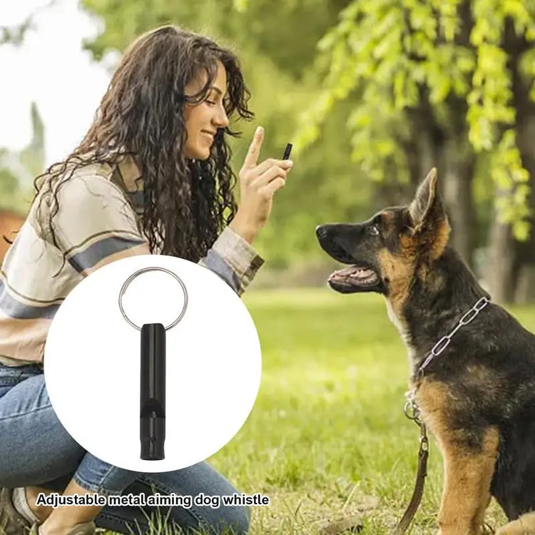 Ultrasonic Dog Training Whistle – Adjustable Frequency for Recall & Bark Control