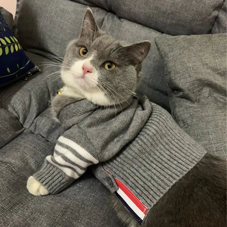 Cat Dog Clothes | Autumn Winter Sweater | Fashion Cardigan | English Short & Blue Cat | Teddy Chenery | Warm Wool Pet Clothing