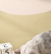 Ceramic Cat Bowl | Food & Water Bowl for Cats/Dogs | Double Ceramic Bowl Set | Cervical Protection | Pet Feeding Supplies
