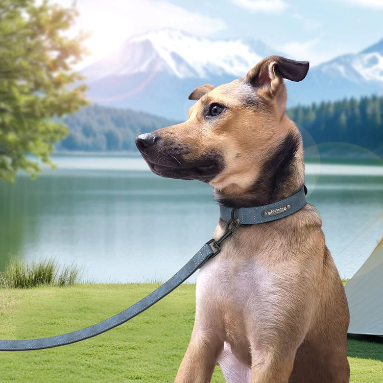 Custom Leather Dog Collar and Leash Set – Personalized, Durable, and Padded for Small to Large Dogs