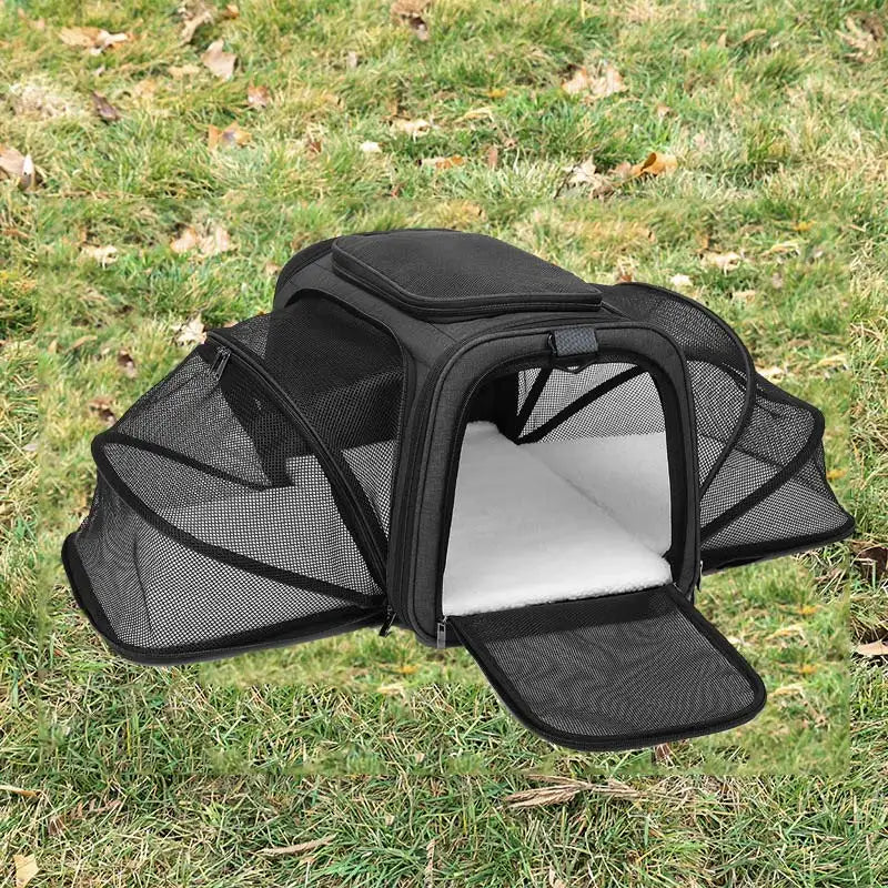 Soft-Sided Dog and Cat Carrier for Kittens – Lightweight & Portable Travel Bag