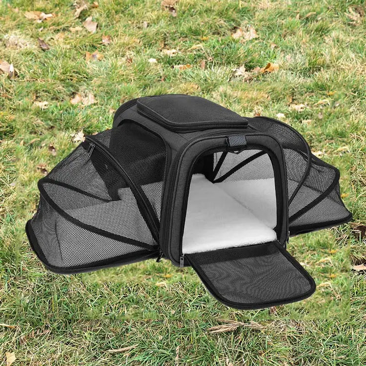 Soft-Sided Dog and Cat Carrier for Kittens – Lightweight & Portable Travel Bag